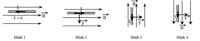 Hình nào biểu diễn đúng hướng lực từ F (ảnh 1)