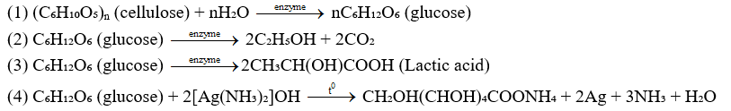 Cho phương trình hóa học của các phản ứng được đánh số thứ tự từ 1 tới 4 dưới đây: (ảnh 1)