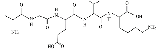 Trong phân tử peptide cho dưới đây có bao nhiêu liên kết peptide? (ảnh 1)