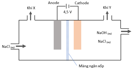 Cho sơ đồ điện phân dung dịch bão hòa NaCl bên dưới để điều chế NaOH, Cl2 và H2. (ảnh 1)