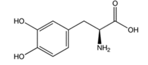 Levadopa (L-dopa) là tiền chất của dopamine, thường được sử dụng như một chất thay thế dopamine để điều trị bệnh Parkinson. L- dopa có công thức cấu tạo như sau: (ảnh 1)
