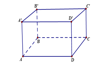 Cho hình lập phương\(ABCD.A'B'C'D'\)(hình vẽ minh hoạ). (ảnh 1)