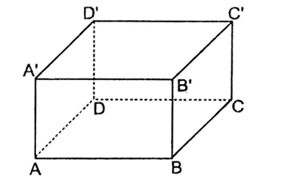 Cho hình hộp chữ nhật \(ABCD.A'B'C'D'\) có \(AB = a,\;AD = b,\;AA' = c.\) (ảnh 1)
