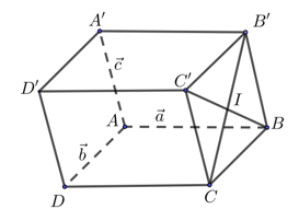 Cho hình hộp ABCD.A'B'C'D' có {AB}  = a (ảnh 1)