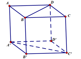 Cho lập phương \(ABCD.A'B'C'D'\) có cạnh bằng \(a\) (tham khảo hình bên). (ảnh 1)