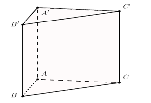 Cho hình lăng trụ đứng \(ABC.A'B'C'\) có đáy \(ABC\)là tam giác vuông tại \(A\). (ảnh 1)