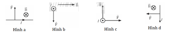 Xét đoạn dây dẫn thẳng, dài mang dòng điện đặt trong từ trường đều theo phương vuông góc với đường sức từ. Hình vẽ nào dưới đây biểu diễn đúng, phương, chiều của lực từ tác dụng lên dây dẫn? (ảnh 1)