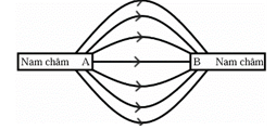 Hình dưới đây cho thấy các đường sức từ trường giữa hai cực từ A và B Nhận định nào sau đây mô tả đúng cực tính của các cực từ A và B? (ảnh 1)