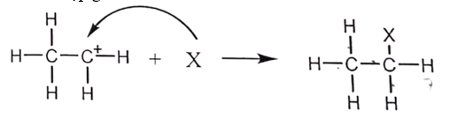 Trong các phát biểu sau, phát biểu nào đúng? (ảnh 2)