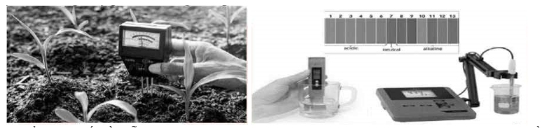 Một số loại thực vật chỉ phát triển tốt ở môi trường có pH phù hợp, việc nghiên cứu pH của đất rất quan trọng trong nông nghiệp. Một số loại cây trồng phù hợp với đất có giá trị pH cho trong bảng sau: (ảnh 1)