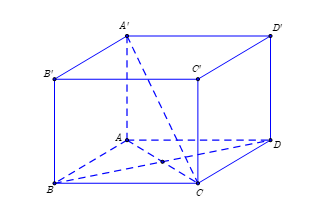 Cho hình lập phương \[ABCD.A'B'C'D'\]. Góc giữa hai mặt phẳng  {A'AC} (ảnh 1)