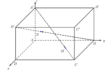 Người ta căng hai sợi dây cáp phát sáng vào hai đường chéo của hình hộp là A'C và BD'. Giá sợi dây cáp là 100 nghìn đồng/mét. (ảnh 2)
