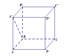 Cho hình lập phương \[ABCD.A'B'C'D'\]. Số đo góc giữa \[A'B\] và mặt phẳng (ABCD) (ảnh 1)