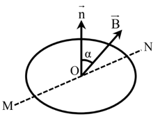 Một khung d&acirc;y h&igrave;nh tr&ograve;n diện t&iacute;ch S = 15cm2 (ảnh 1)