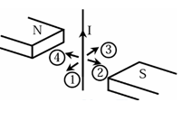 Một sợi dây dẫn điện được treo giữa hai cực của một nam châm. Người ta cho một dòng điện không đổi chạy qua sợi dây như hình vẽ. Lực từ tác dụng lên sợi dây trên có hướng (ảnh 1)