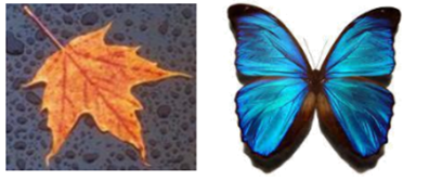 2. Cho đoạn thẳng AB = 8 cm. Trên tia AB lấy điểm C sao cho AC = 4 cm.  a) Điểm C có nằm giữa hai điểm A và B không? Vì sao? (ảnh 1)