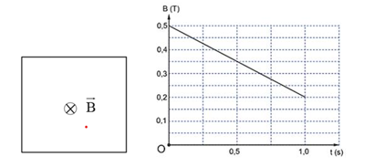Một khung dây cứng, phẳng có diện tích 25cm2 (ảnh 1)