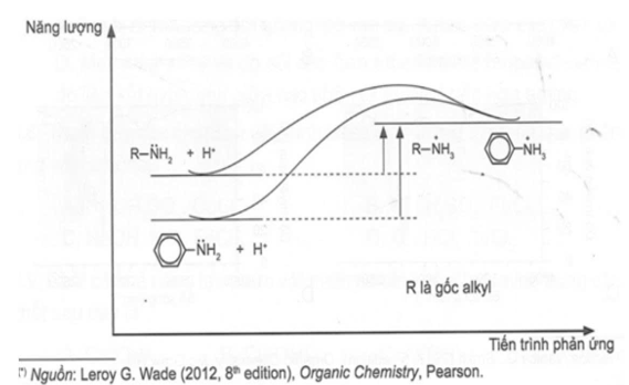 Giản đồ năng lượng của 2 amine khi proton h&oacute;a (cộng với ion H+) như h&igrave;nh b&ecirc;n. Dựa v&agrave;o giản đồ, cho c&aacute;c ph&aacute;t biểu sau. (ảnh 1)