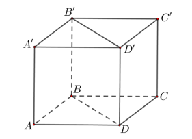 Cho hình lập phương \[ABCD.A'B'C'D'\] có cạnh bằng \(a\) (tham khảo hình vẽ).  (ảnh 1)