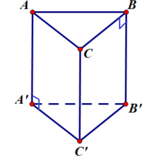 Cho hình lăng trụ đứng tam giác đều\(ABC.A'B'C'\) có \(AB = a\) và \(AA' = 2 (ảnh 1)