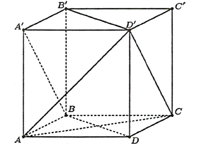 Cho hình lập phương ABCD. A'B'C'D .Khi đó (ảnh 1)