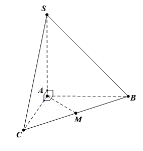 Xét hình chóp \[S.ABC\] có đáy \[ABC\] là tam giác vuông tại A (ảnh 1)