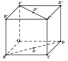 Cho hình lập phương \(ABCD.A'B'C'D'\) có \[O;O'\] lần lượt là tâm của các hình vuông \[ABCD\] (ảnh 1)