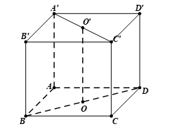 Cho hình lập phương \(ABCD.A'B'C'D'\) có \[O;O'\] lần lượt là tâm của các hình vuông \[ABCD\] (ảnh 2)