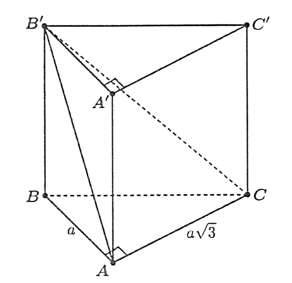 Cho lăng trụ đứng ABC.A'B'C' c&oacute; đ&aacute;y l&agrave; tam gi&aacute;c vu&ocirc;ng tại A (ảnh 1)