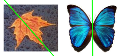 2. Cho đoạn thẳng AB = 8 cm. Trên tia AB lấy điểm C sao cho AC = 4 cm.  a) Điểm C có nằm giữa hai điểm A và B không? Vì sao? (ảnh 2)