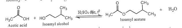 Một học sinh tiến hành tổng hợp isoamyl acetate (thành phần chính của dầu chuối) từ acetic acid và isoamyl alcohol theo phương trình hóa học sau: (ảnh 1)