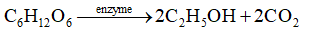 Lên men 250 gam glucose trong phòng thí nghiệm. Phân tích lượng ethyl alcohol theo thời gian, ta được đồ thị sau: (ảnh 2)