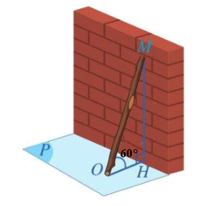 Hình biểu diễn của chiếc gậy dựa vào tường như sau:   (ảnh 1)