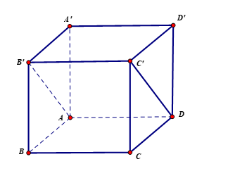 Cho hình lập phương \(ABCD.A'B'C'D'\) cạnh \(a\) (tham khảo hình vẽ dưới) (ảnh 1)