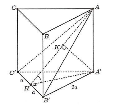 Cho hình lăng trụ tam giác đều ABC. A'B'C' có cạnh đáy bằng 2a (ảnh 1)