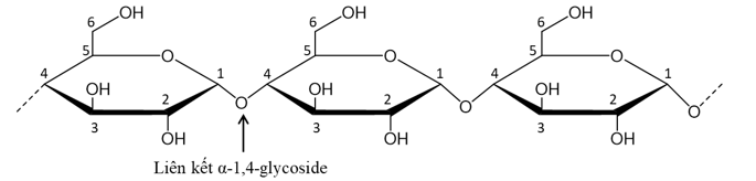 Tại một nhà máy sản xuất rượu, cứ 10 tấn tinh bột (chứa 6,85% tạp chất trơ) sẽ sản xuất được 7,21 m3 (ảnh 1)