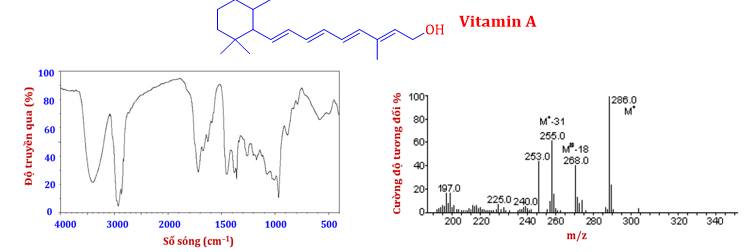 Trong thành phần quả gấc có chứa nhiều chất dinh dưỡng và vitamin cần thiết cho cơ thể. (ảnh 1)