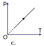 Nút chai của một chai rượu vang vừa khít với miệng chai đang đang đậy kín (ảnh 3)