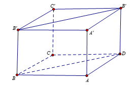 Cho hình lập phương \(ABCD.A'B'C'D'\) cạnh \(a.\) Khoảng cách giữa \(BD\) và \(B'D'\). (ảnh 1)
