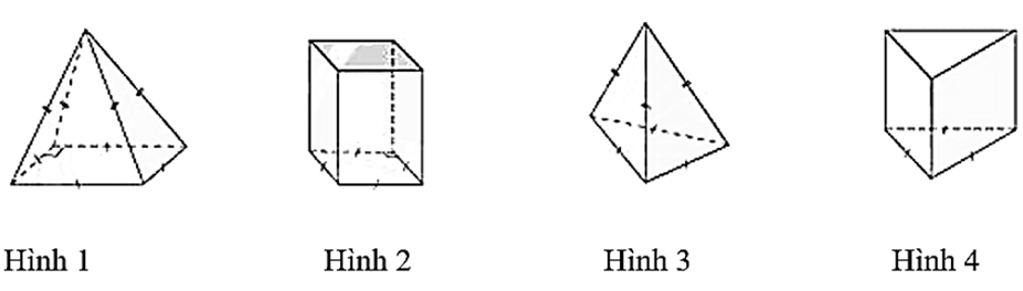 Trong các hình sau, hình nào là hình chóp tứ giác đều? (ảnh 1)