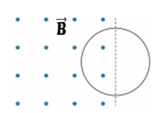 Một cuộn dây tròn diện tích S có N vòng dây đặt một nửa trong từ trường đều với mặt phẳng cuộn dây vuông góc v (ảnh 1)