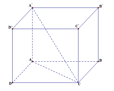 Cho hình hộp đứng \(ABCD.A'B'C'D'\) có đáy là hình thoi cạnh \(a\) (ảnh 1)