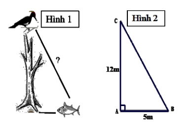 2. Một chiếc lều có hình dạng là một hình chóp tứ giác đều. Biết chiếc lều có mặt bên là tam giác đều có cạnh bằng 2 m Tính chiều cao của chiếc lều. (ảnh 1)