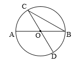 Đường kính của hình tròn bên là:  	A. OC	 	B. BC	 	C. AB	 	D. OA (ảnh 1)