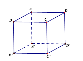 Trong không gian với hệ toạ độ \(Oxyz\), cho hình hộp \(ABCD.A'B'C'D'\) (ảnh 1)
