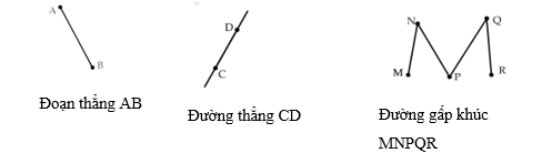 Quan sát các hình vẽ duwois đây rồi điền từ “đoạn thẳng”, “đường thẳng”, “đường cong”, “đường gấp khúc” thích hợp vào chỗ chấm: (ảnh 2)