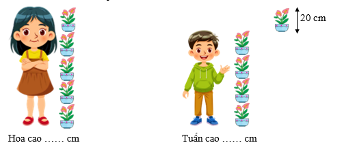 Điền số thích hợp vào chỗ chấm Hoa cao …… cm (ảnh 1)