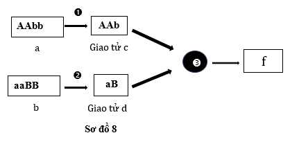 Sơ đồ 8 mô tả quá trình giảm phân tạo giao tử xảy ra đột biến .  Có bao nhiêu nhận định sau đây về sơ đồ 8 là Đúng?  I. Tế bào [3] hình thành và thực hiện quá trình nguyên phân, phân hóa và biệt hóa tế bào hình thành cơ thể [f]. (ảnh 1)