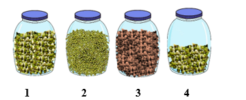 Để phát hiện hô hấp ở thực vật, một nhóm học sinh đã tiến hành thí nghiệm như sau: Dùng 4 bình cách nhiệt giống nhau đánh số thứ tự 1, 2, 3, 4. Cả 4 bình đều đựng hạt đỗ xanh . (ảnh 1)