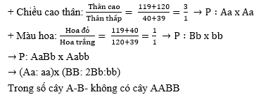 Ở Đậu Hà Lan, tính trạng thân cao là trội hoàn toàn so với thân thấp, tính trạng hoa đỏ là trội hoàn toàn so với hoa trắng.  (ảnh 1)